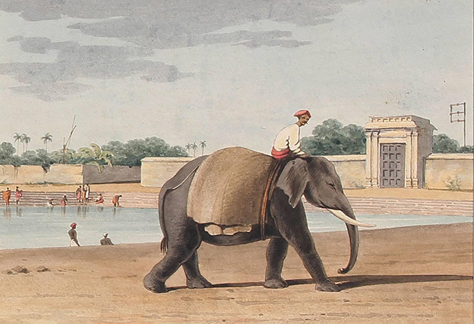 John Gantz Animal Art - An Elephant by the River, Madras, Watercolor on Paper, 1828