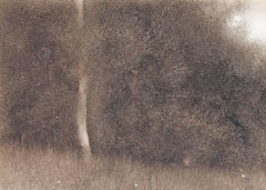 Wildflowers, Oil on Board, Pamela Sztybel, American