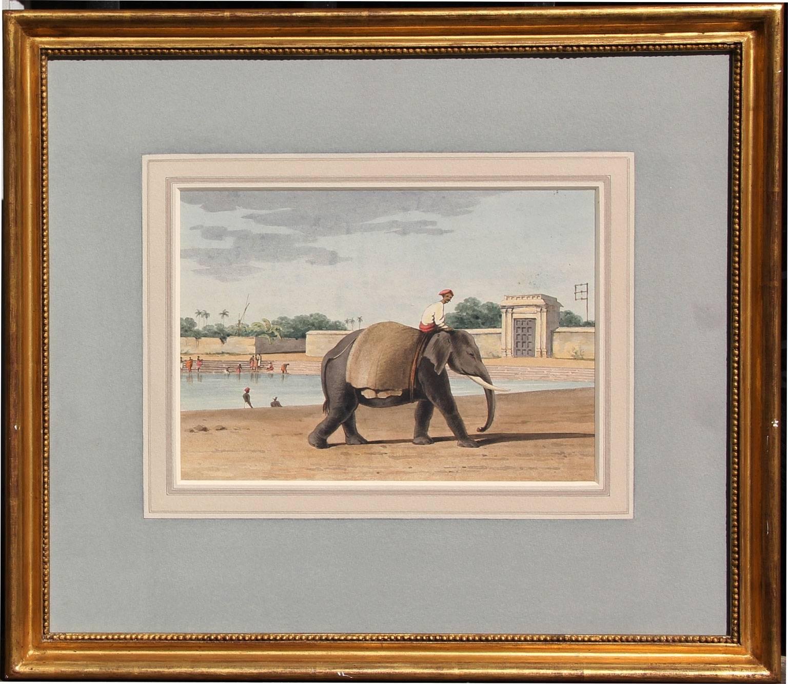 An Elephant by the River, Madras, Watercolor on Paper, 1828 - Art by John Gantz