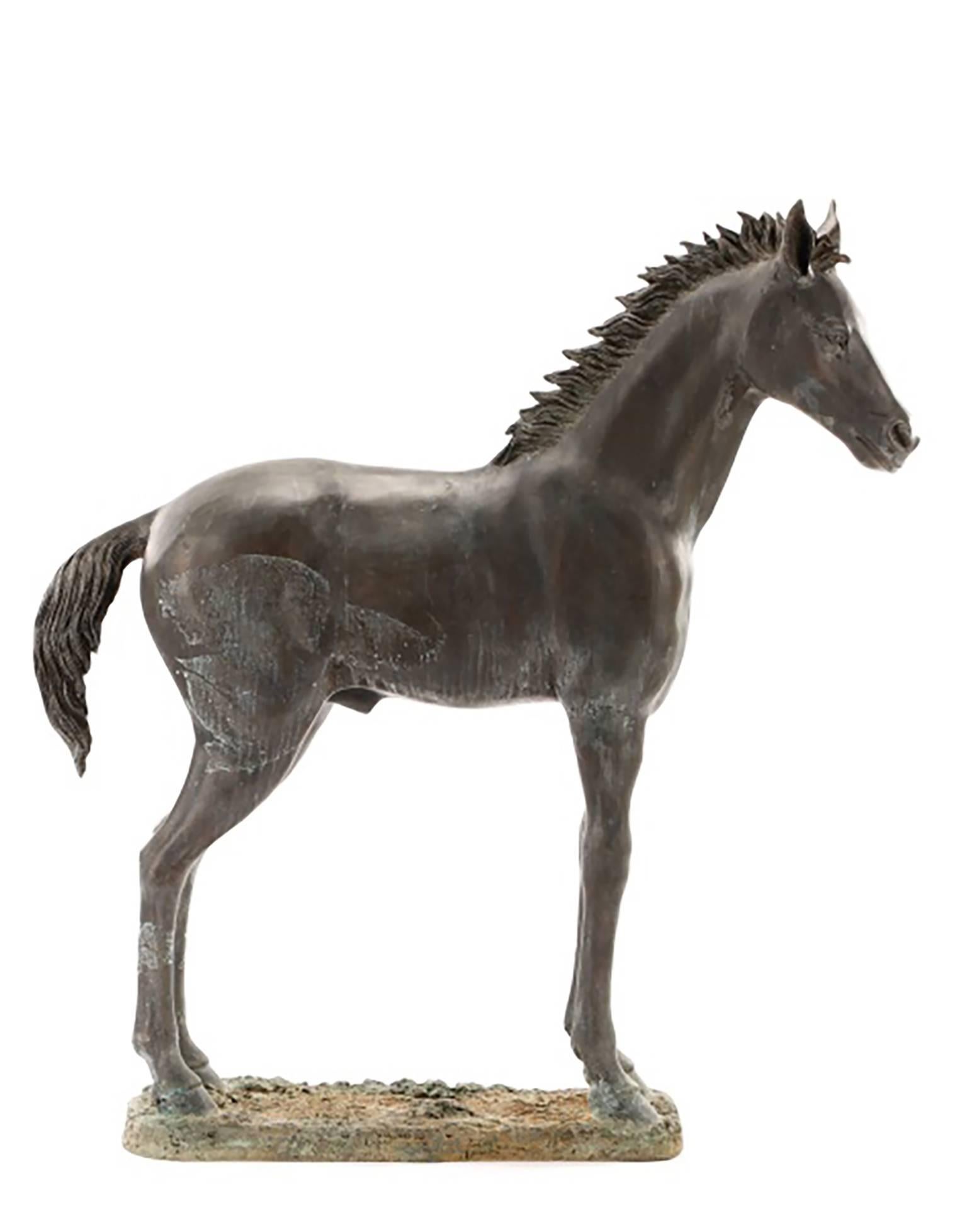 Unknown Figurative Sculpture - Stunning Large Bronze Sculpture of a Standing Horse