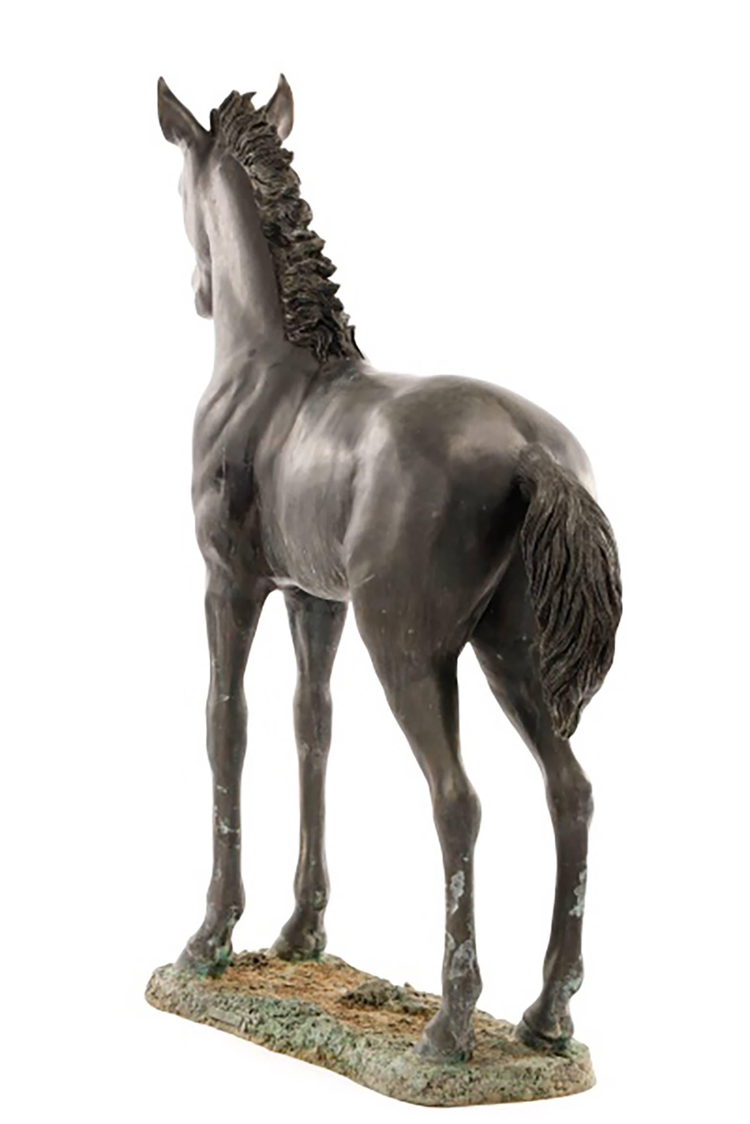 Stunning Large Bronze Sculpture of a Standing Horse - Gold Figurative Sculpture by Unknown