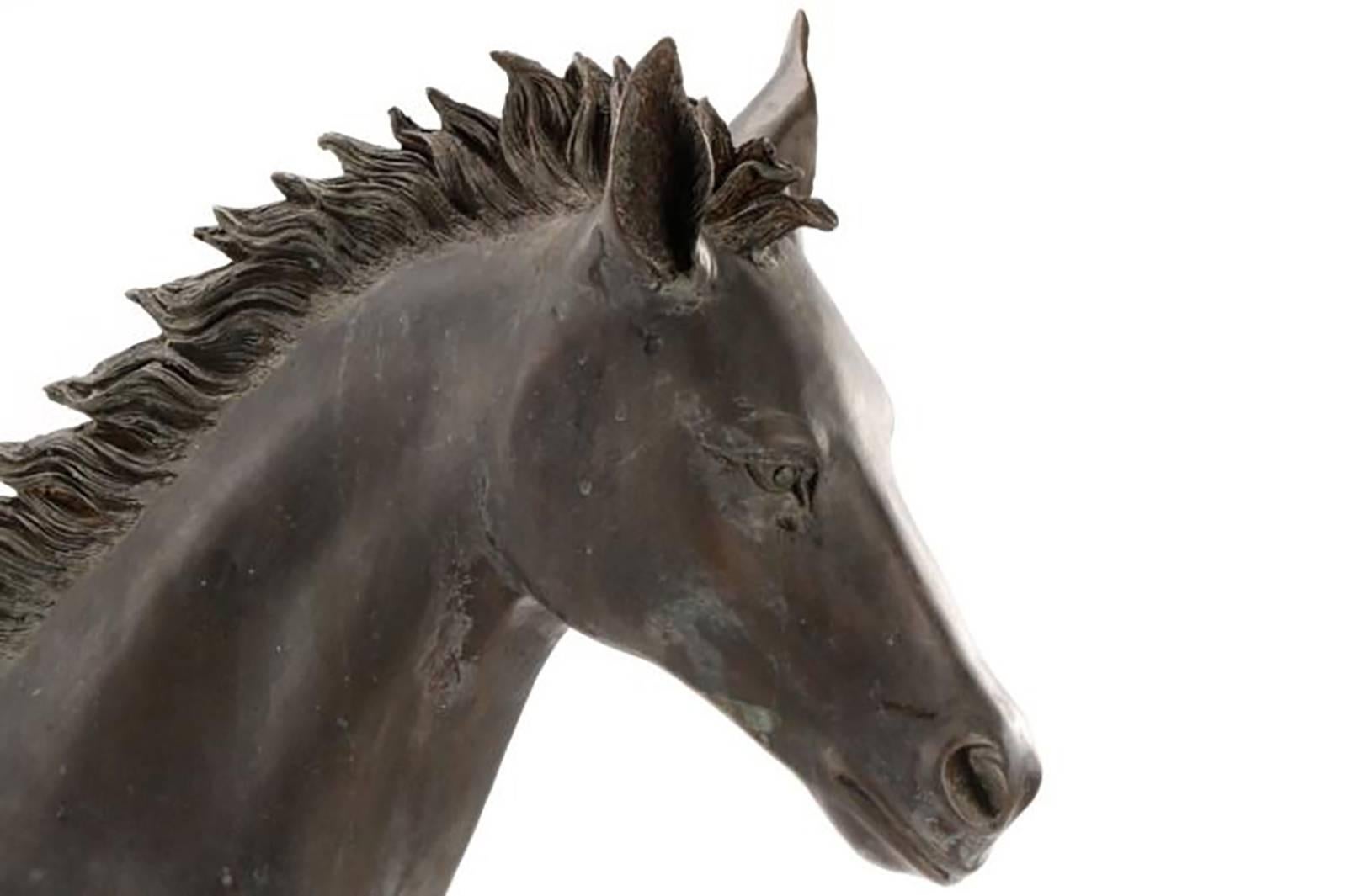 Stunning Large Bronze Sculpture of a Standing Horse 3