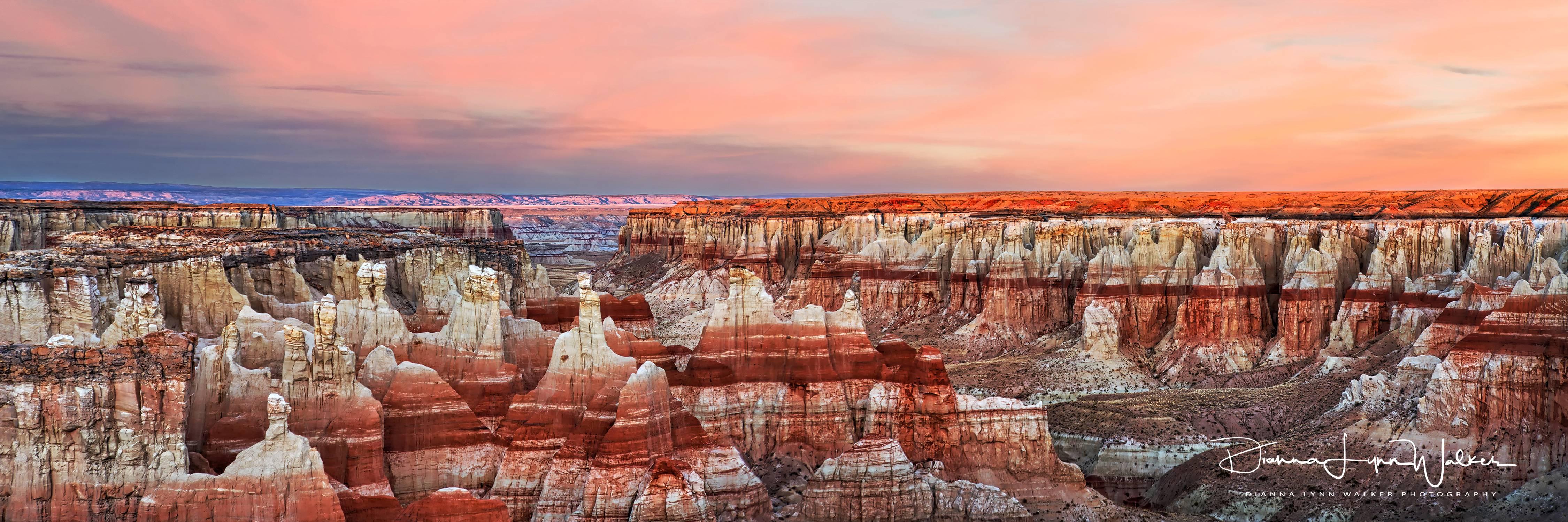 Dianna Lynn Walker Landscape Photograph - Earth's Crater of Fire