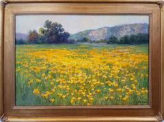 Poetry of Poppies