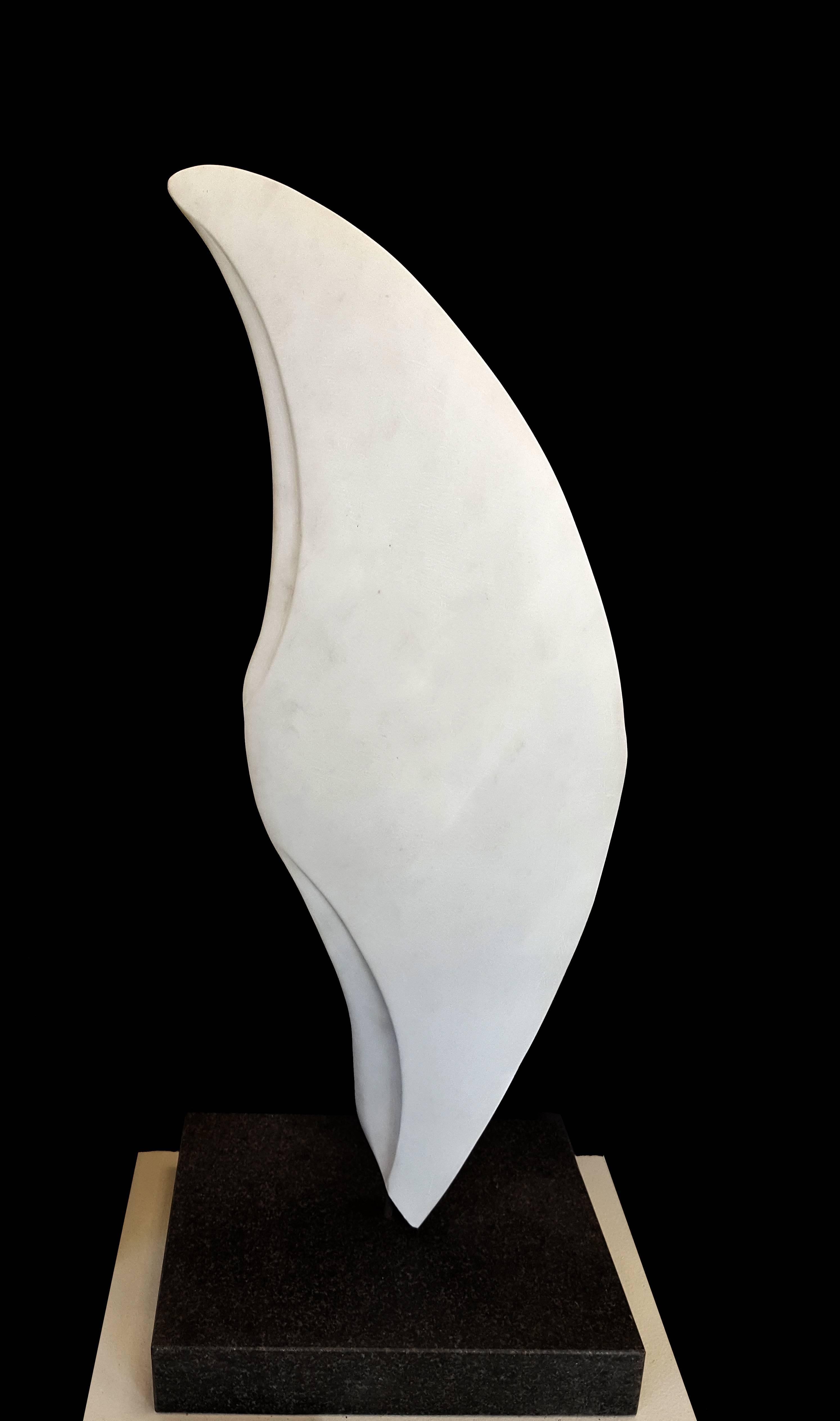 Joseph Sovella Abstract Sculpture - White Fish