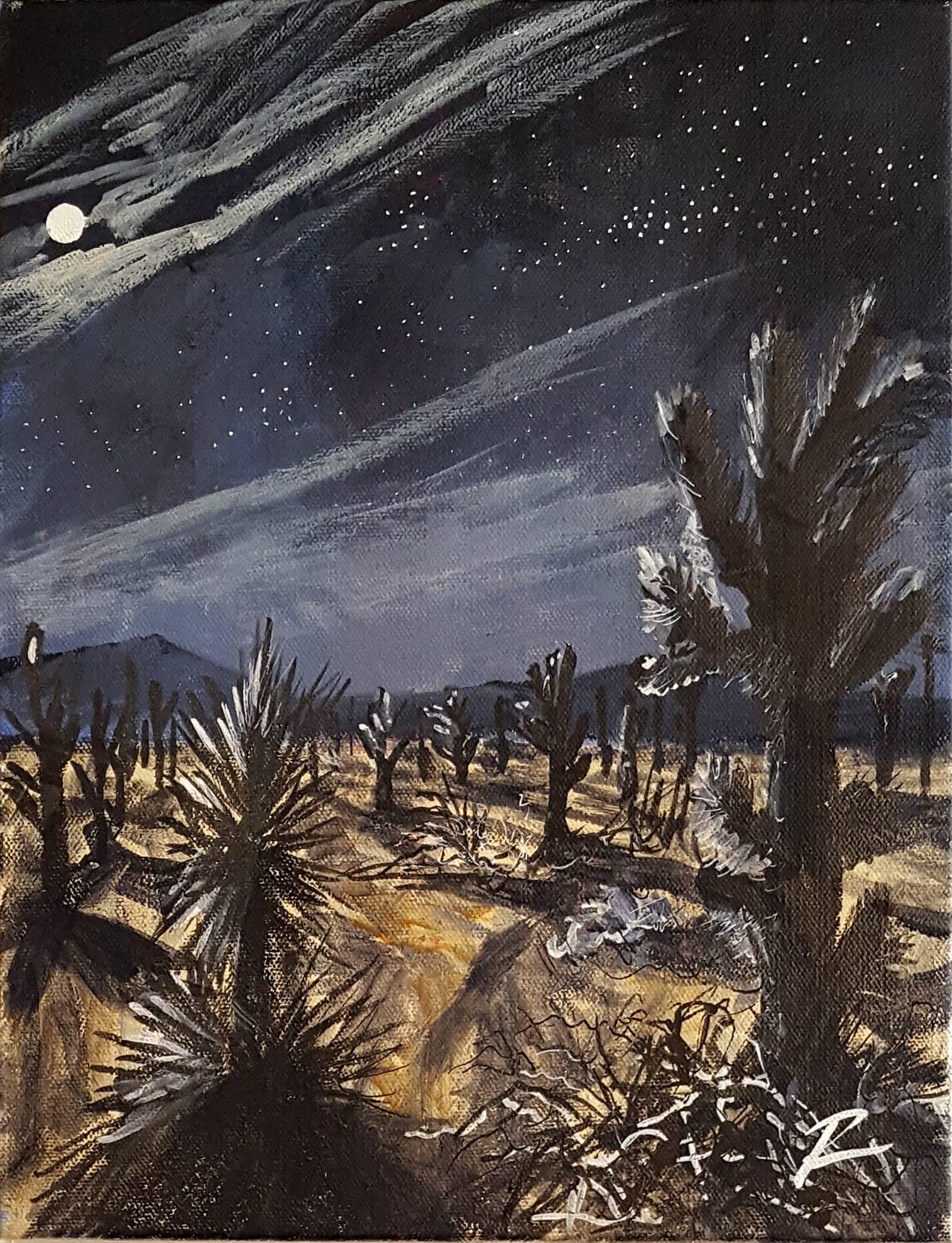 David Downes Landscape Painting - Joshua at Night