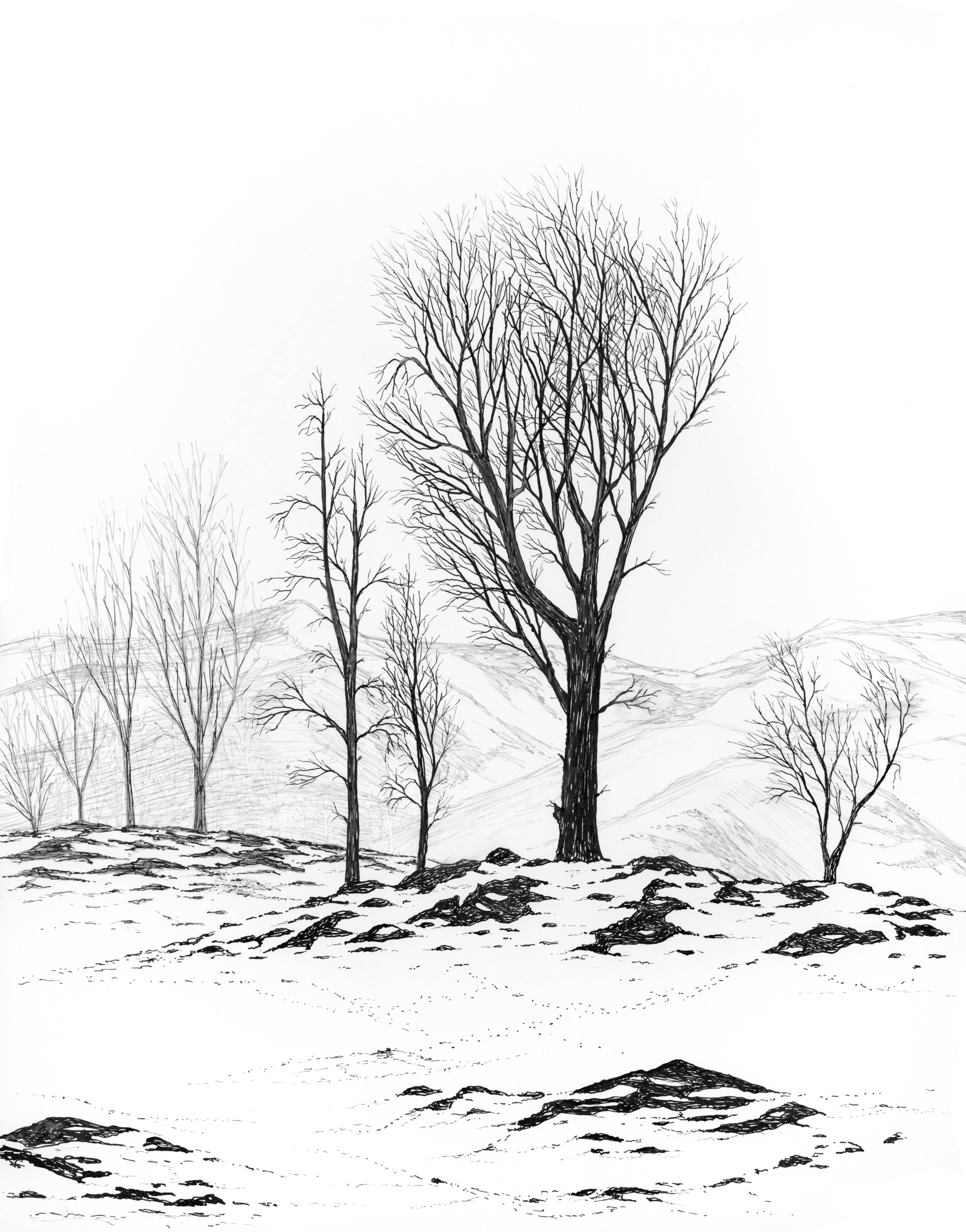 Ludo Leideritz Landscape Print - First Snowfall