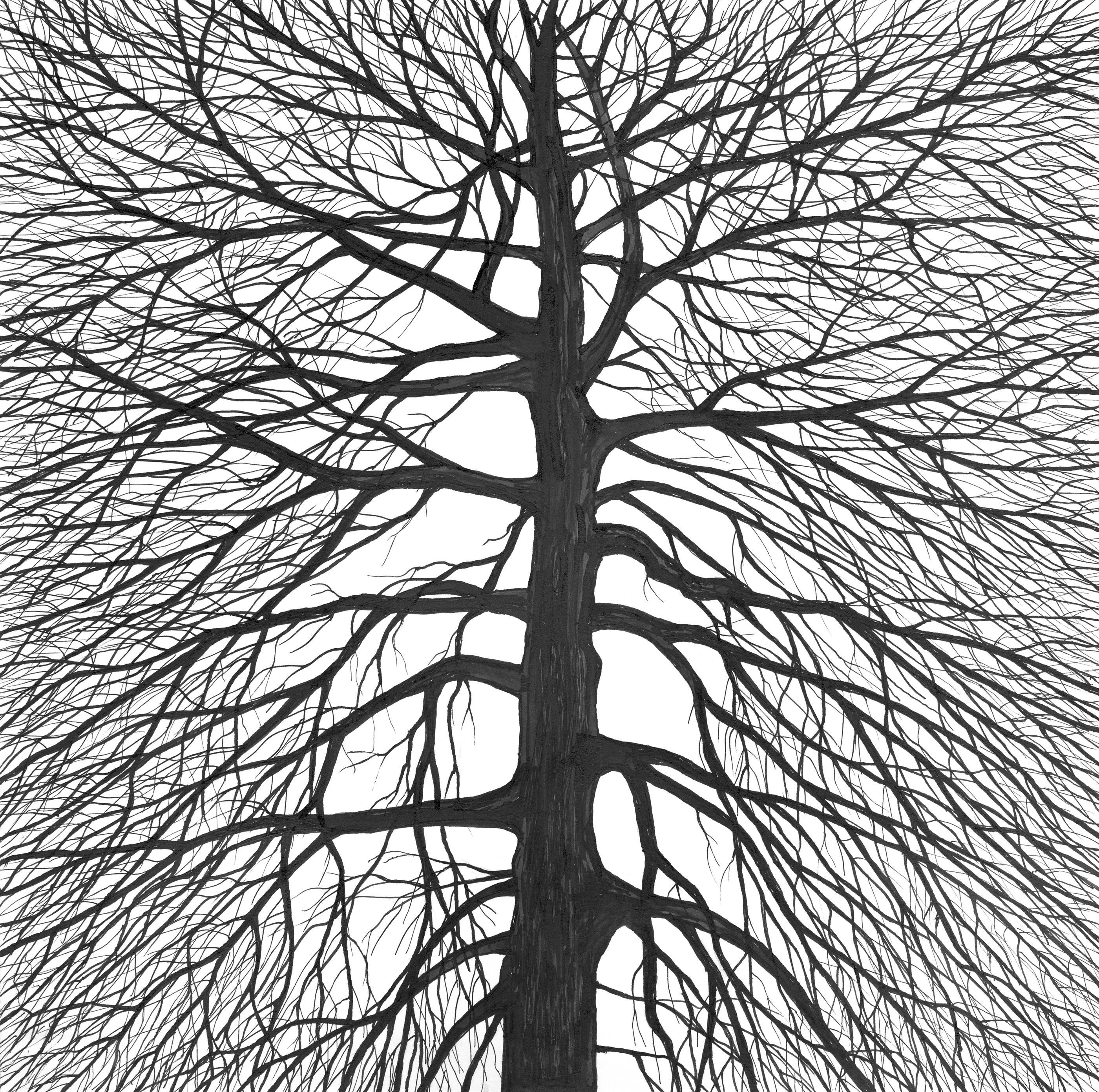 Ludo Leideritz Landscape Art - The Tree