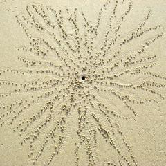 Radiating Sand Pattern 1
