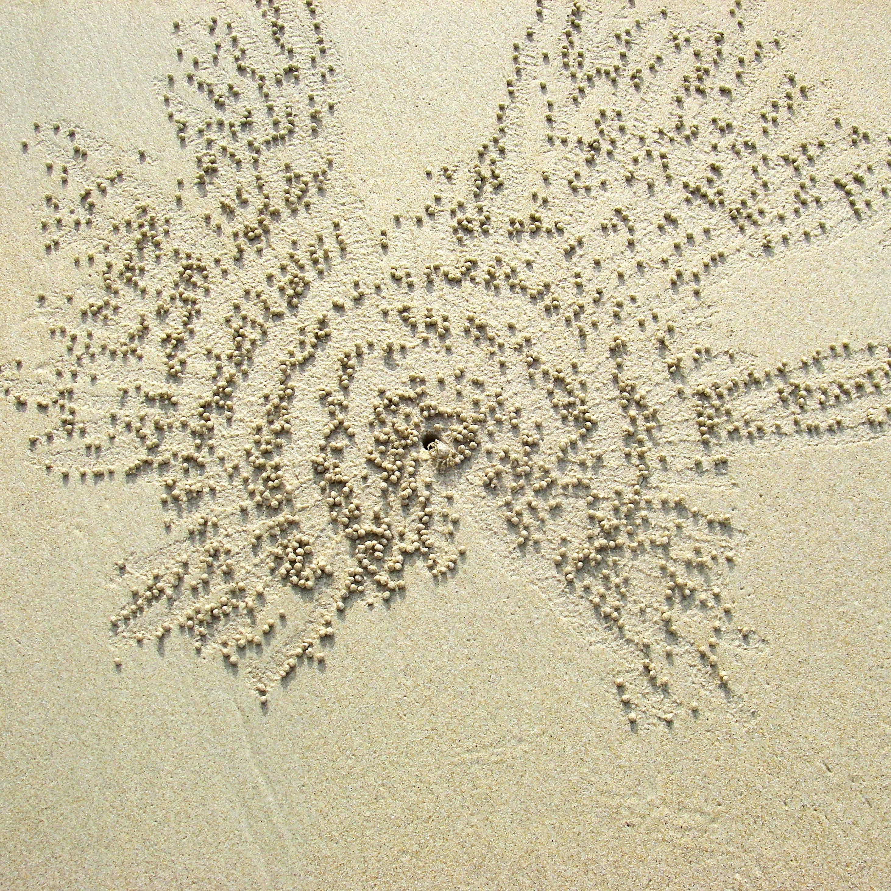 Linda Epstein Color Photograph - Radiating Sand Pattern 2