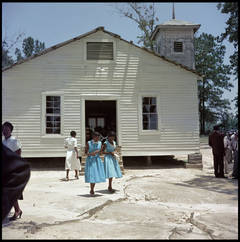 Untitled, Shady Grove, Alabama (37.065)