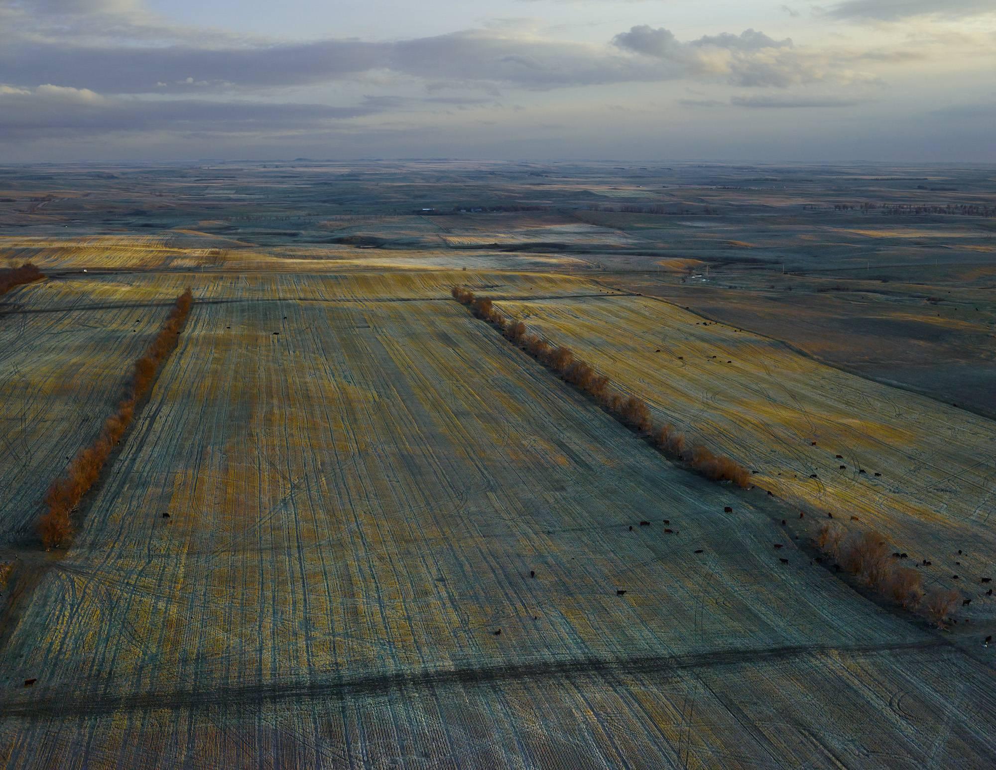 Andrew Moore Landscape Photograph - Dusky Fields, McKenzie County, North Dakota