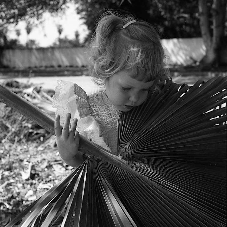 Vivian Maier Black and White Photograph - Los Angeles (Little Girl Holding Palm Leaf), August 1955