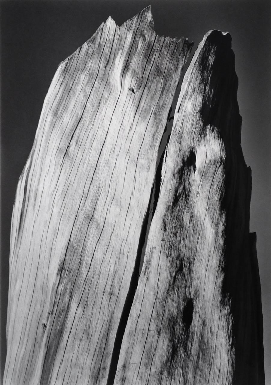 Ansel Adams Landscape Photograph - White Stump, Sierra Nevada, California