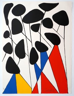 Untitled (from the Magie Eolienne portfolio)