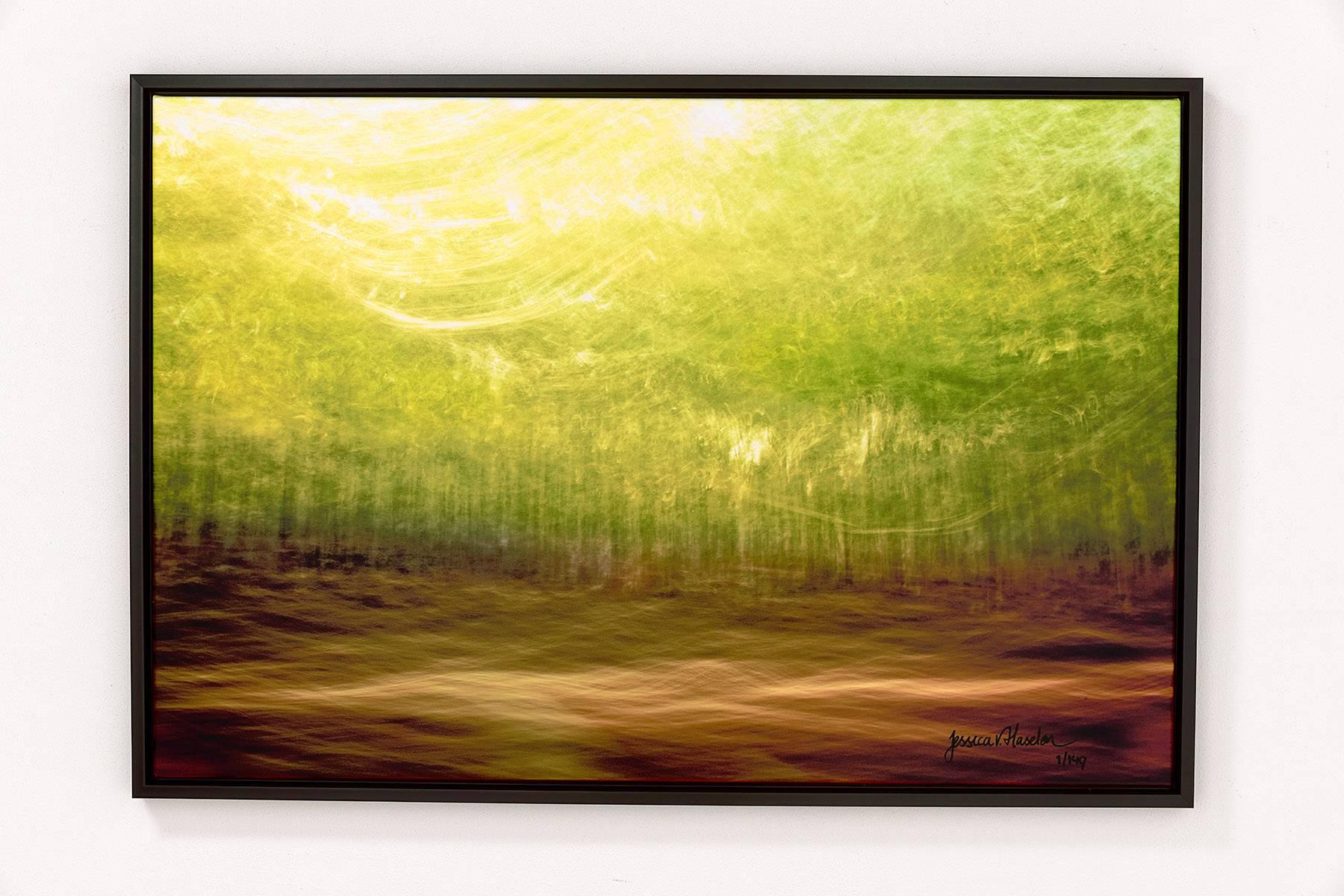 Glades In Brevity II - Framed Fine Art Limited Edition of 149 - Photograph by Jessica van Haselen