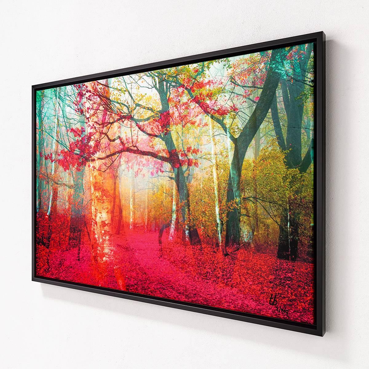 Pink Forest - Framed Fine Art Limited Edition of 149 - Naturalistic Photograph by Thomas Bijen
