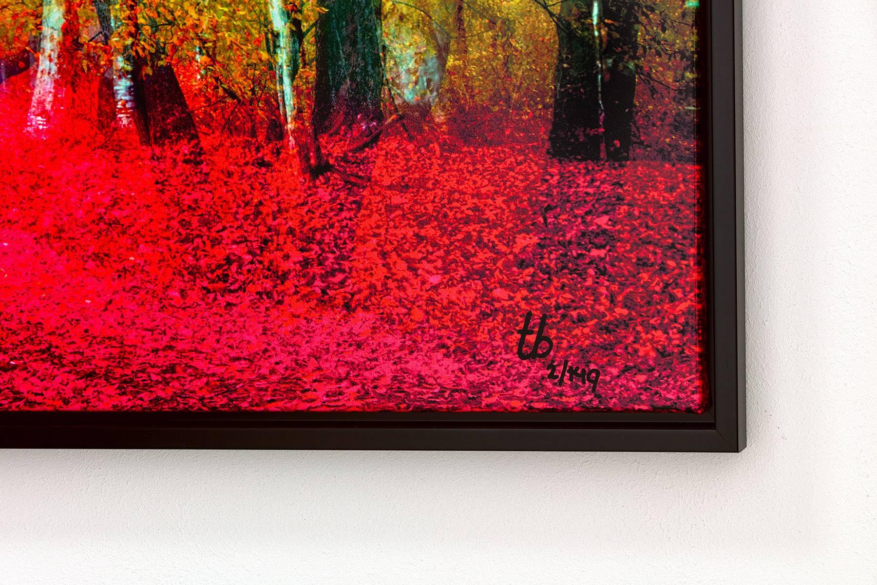 
Original Fine Art Photography by Thomas Bijen for 99 Limited Editions
Pink Forest’s exclusive Gold Limited Edition of only 149 is available in: 
151x101 CM (Unframed: 145x95cm) 
59x40 Inches 
_________________________________

An enchanting forest