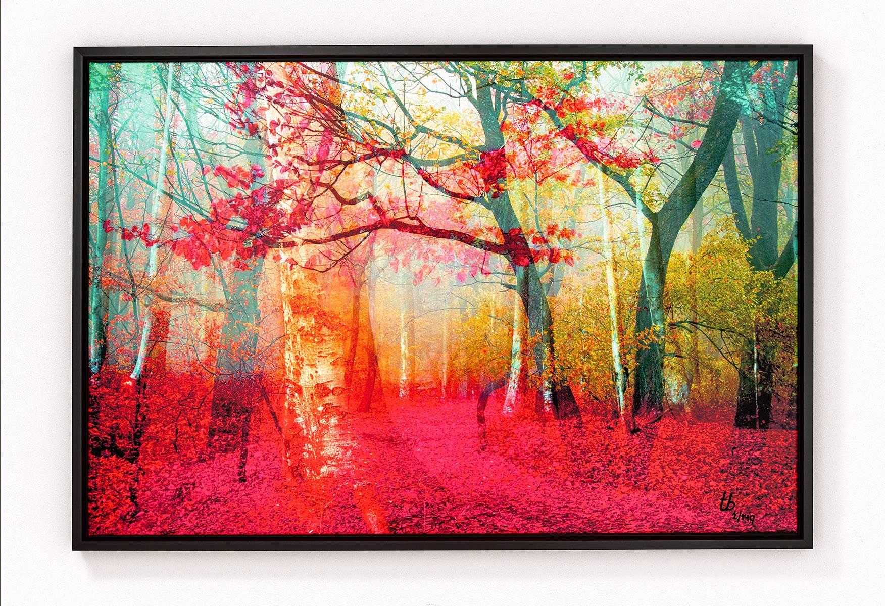 Pink Forest - Framed Fine Art Limited Edition of 149 - Photograph by Thomas Bijen
