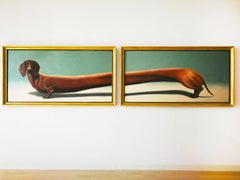 SELECCIÓN NATURAL - DACHSHUND III