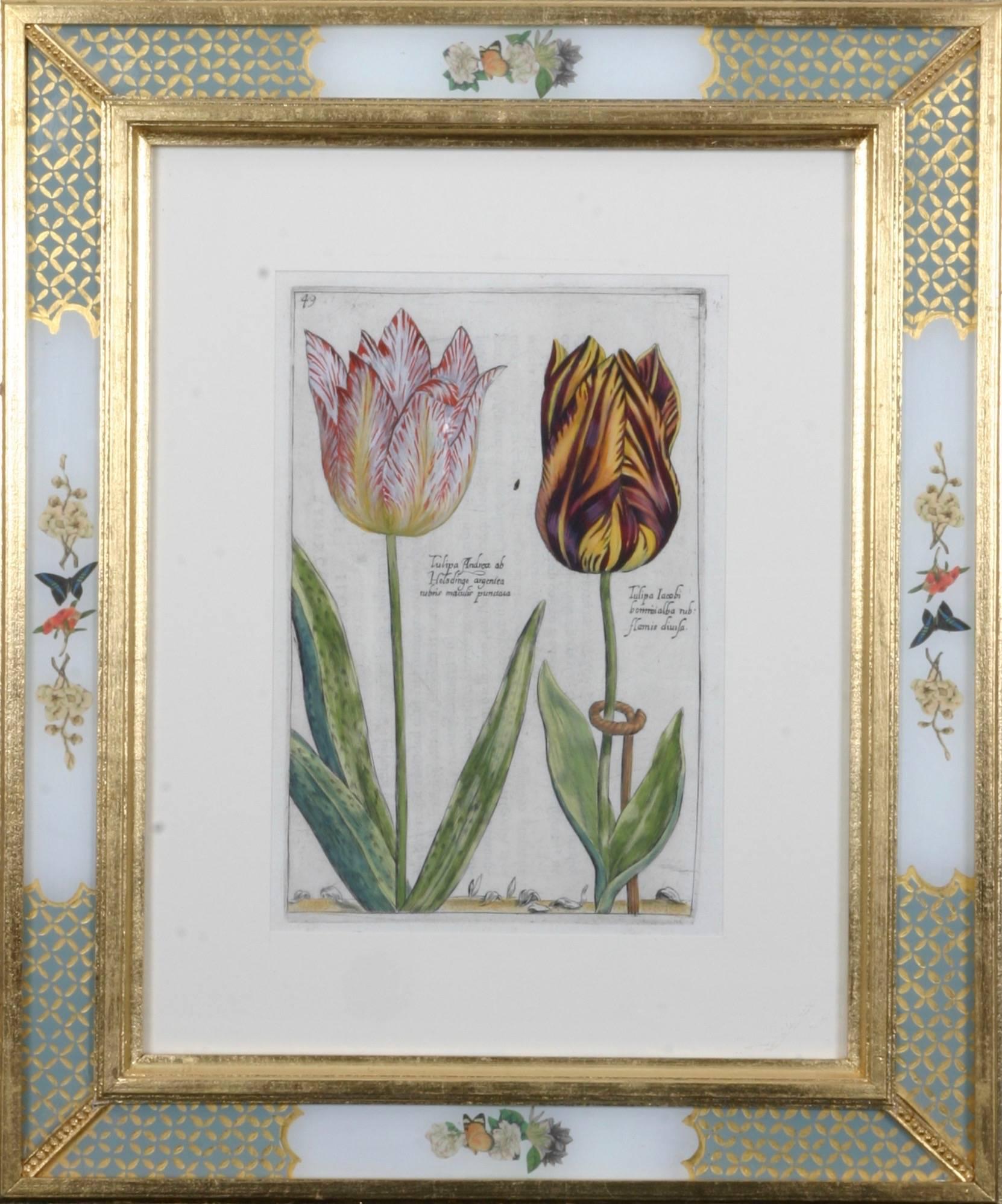 Hortus Floridus Tulips - Gray Figurative Print by Crispin de Passe II