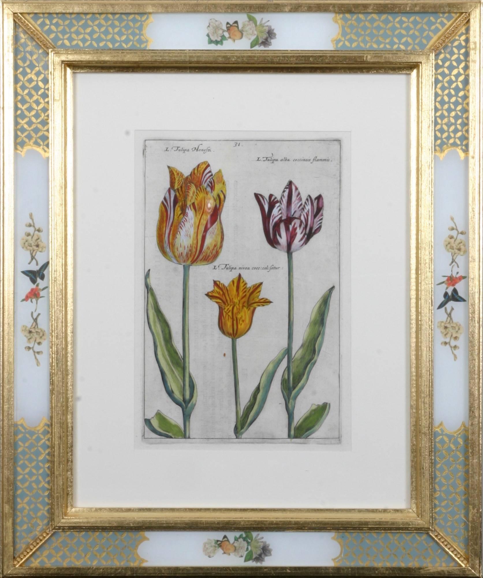 Copper-plate engravings c1614, with fine later hand colouring.

A masterpiece of botanical illustration, Hortus Floridus, comprising 104 plates showing different garden flowers arranged by season and engraved by Crispin Van de Passe the younger