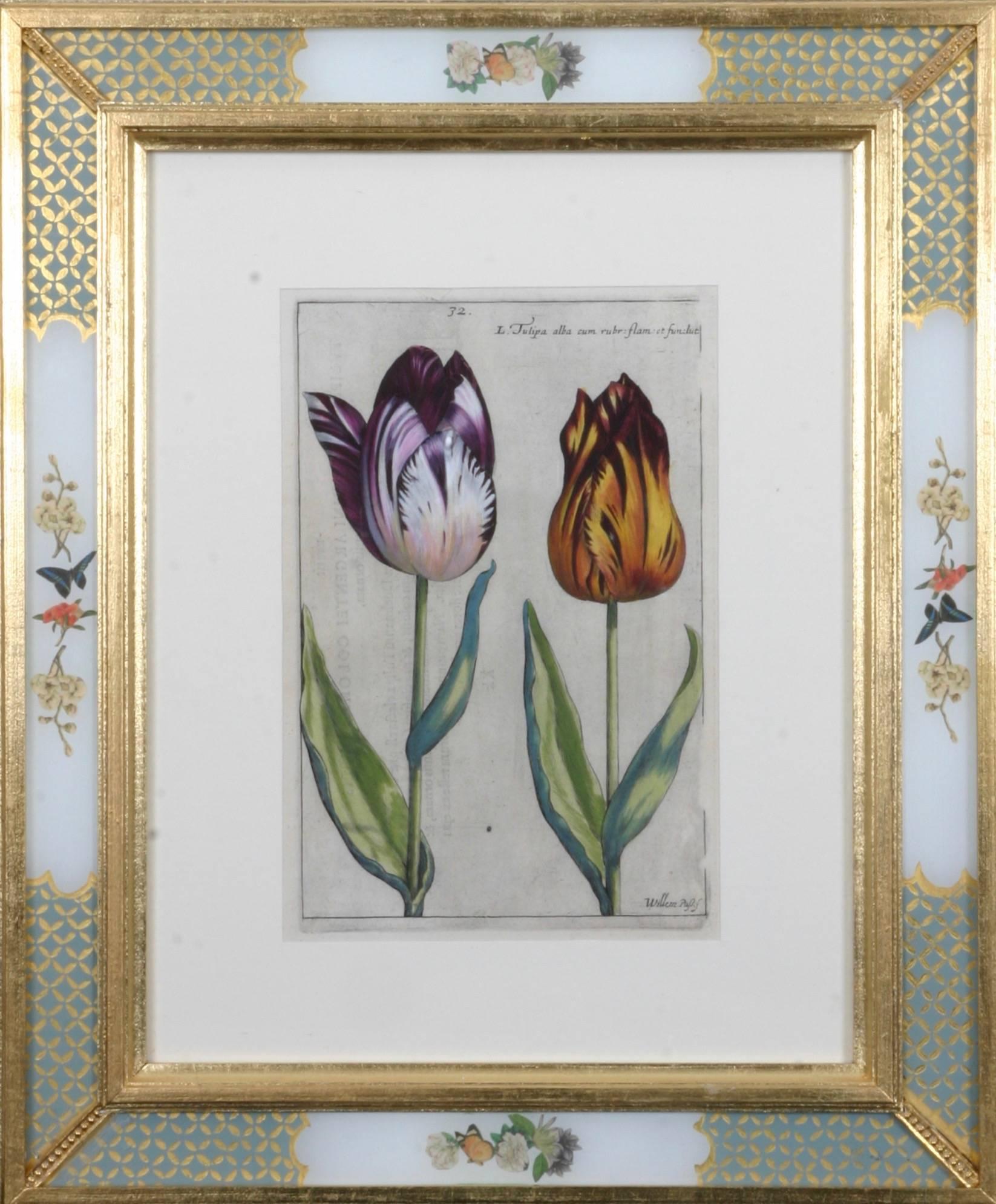 Hortus Floridus Tulips 3