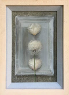 Shells with Dandelion