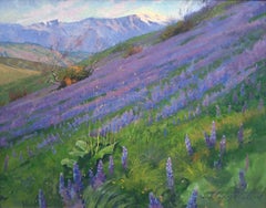 Purple Wonder ; Réserve terrestre d'Irvine