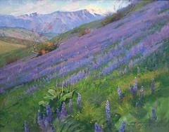 Purple Wonder; Irvine Land Preserve