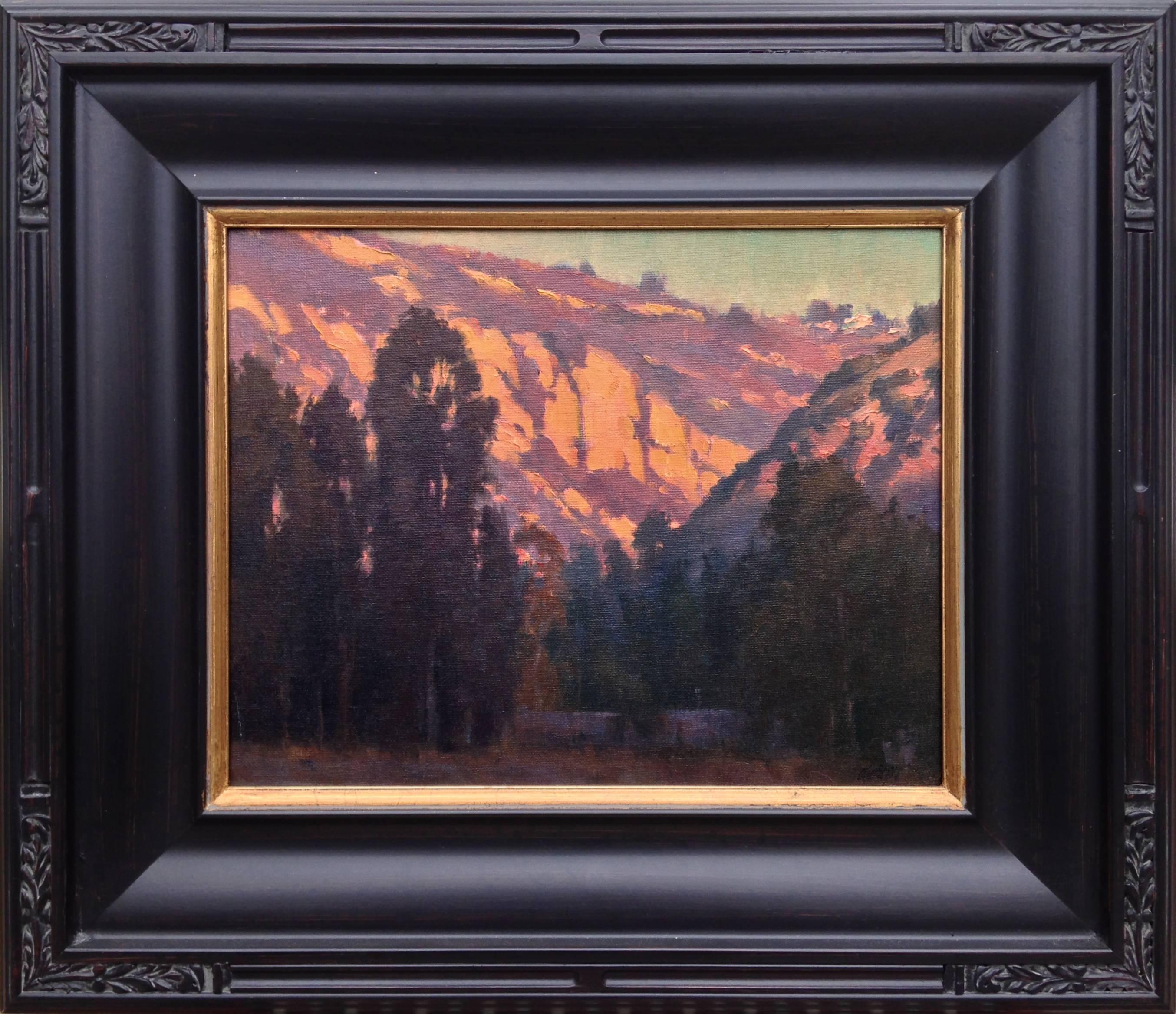 Michael Obermeyer Landscape Painting - Canyon Glow, Laguna Canyon