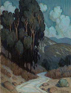 Sentiero dell'arroyo illuminato dalla luna