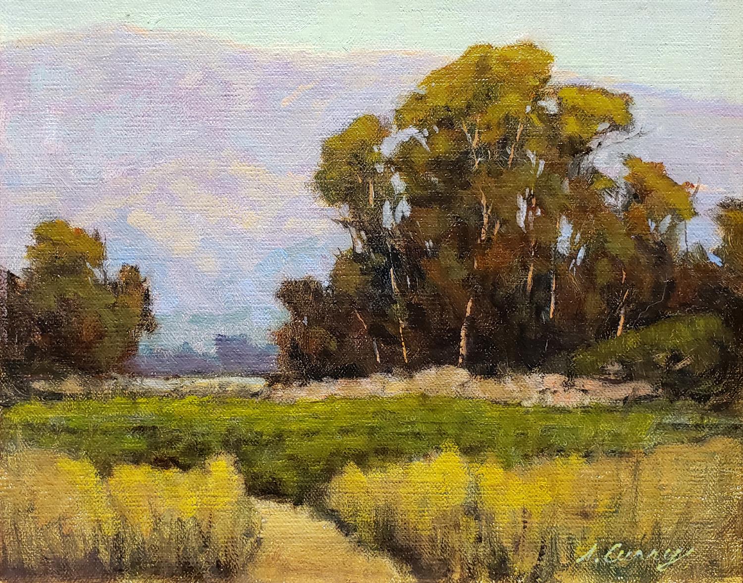 Carpenteria Foothills - Realist Painting by Steve Curry