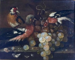 Study of Three Finches on a Stone Ledge