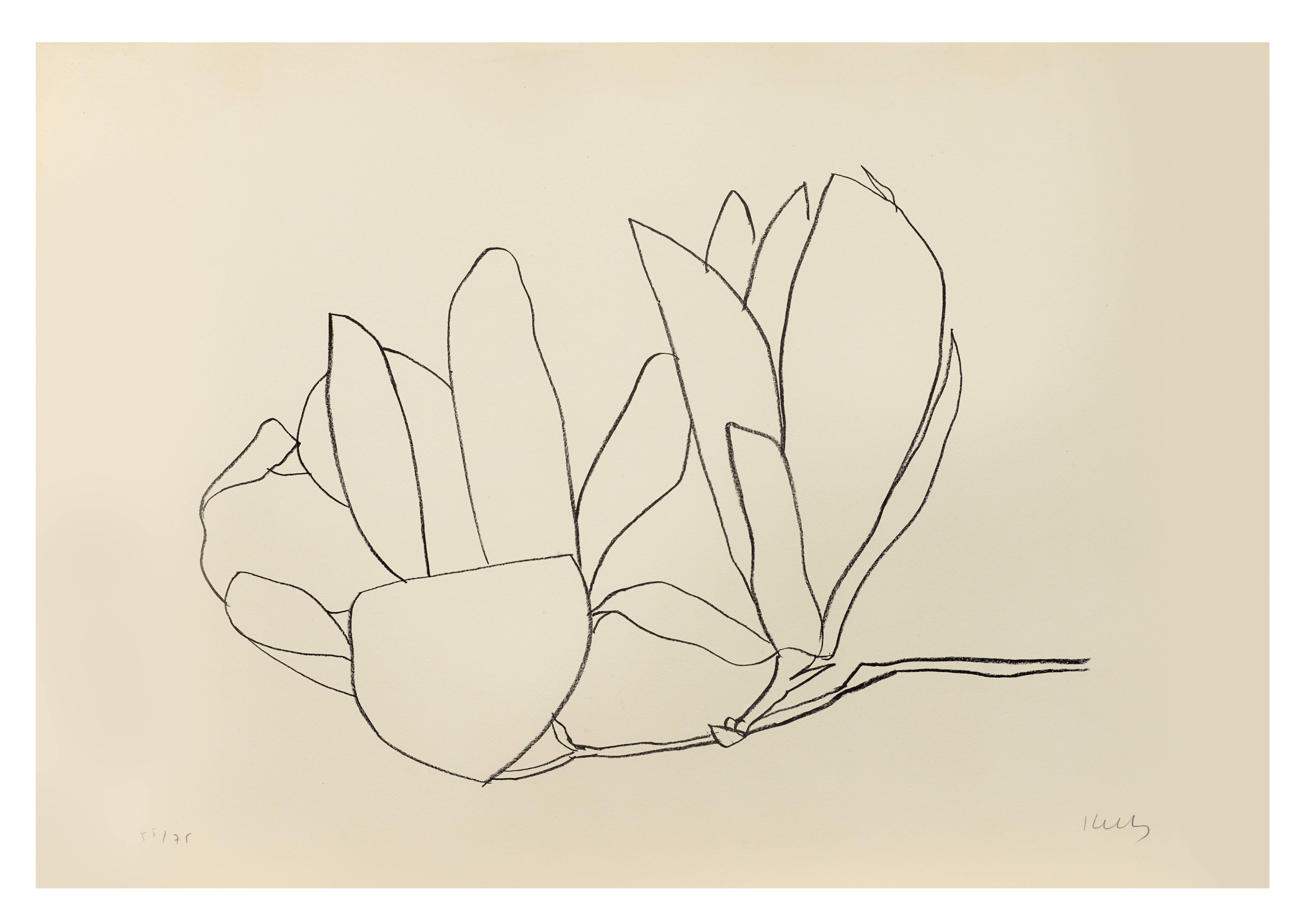 Magnolia - Print by Ellsworth Kelly