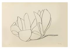 Magnolia 1