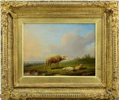 Sheep in Landscape