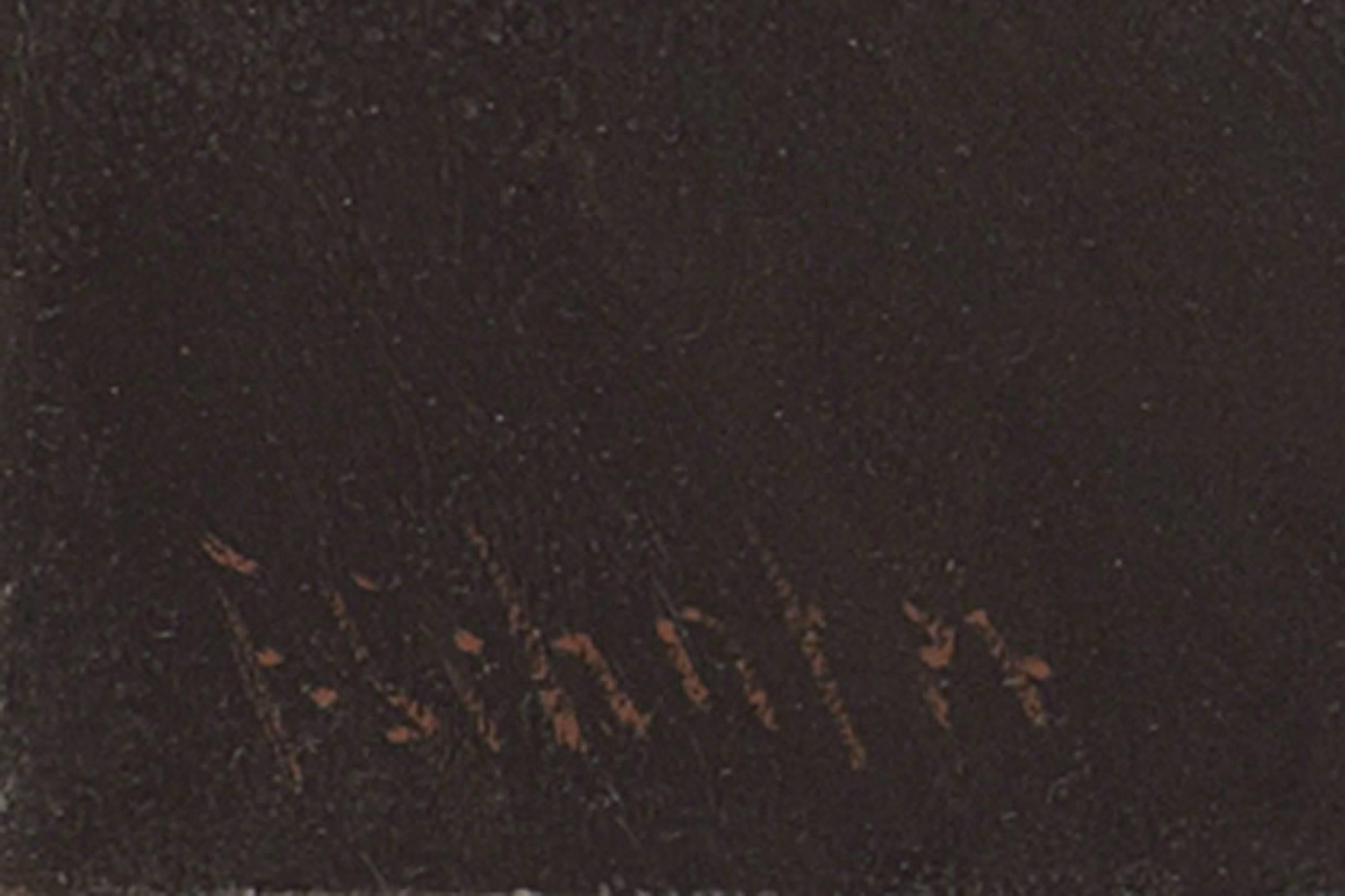 The lake of Everlasting Fire, Sandwich Islands (Hawaiian Islands) - Black Landscape Painting by Frederick Schafer
