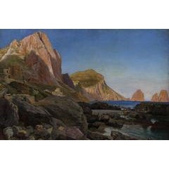 Mediterranean Shipping 5