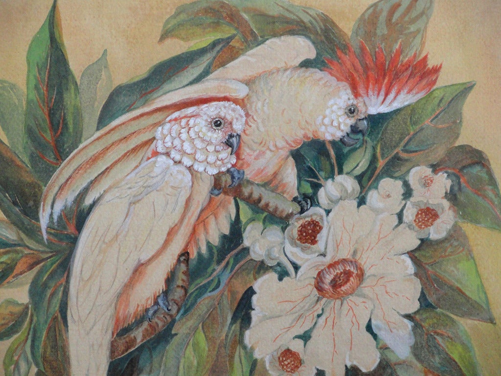 jessie arms botke cockatoos