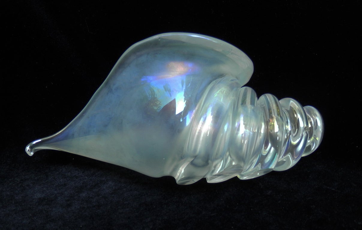 Conch Shell - Sculpture by Licio Zanett
