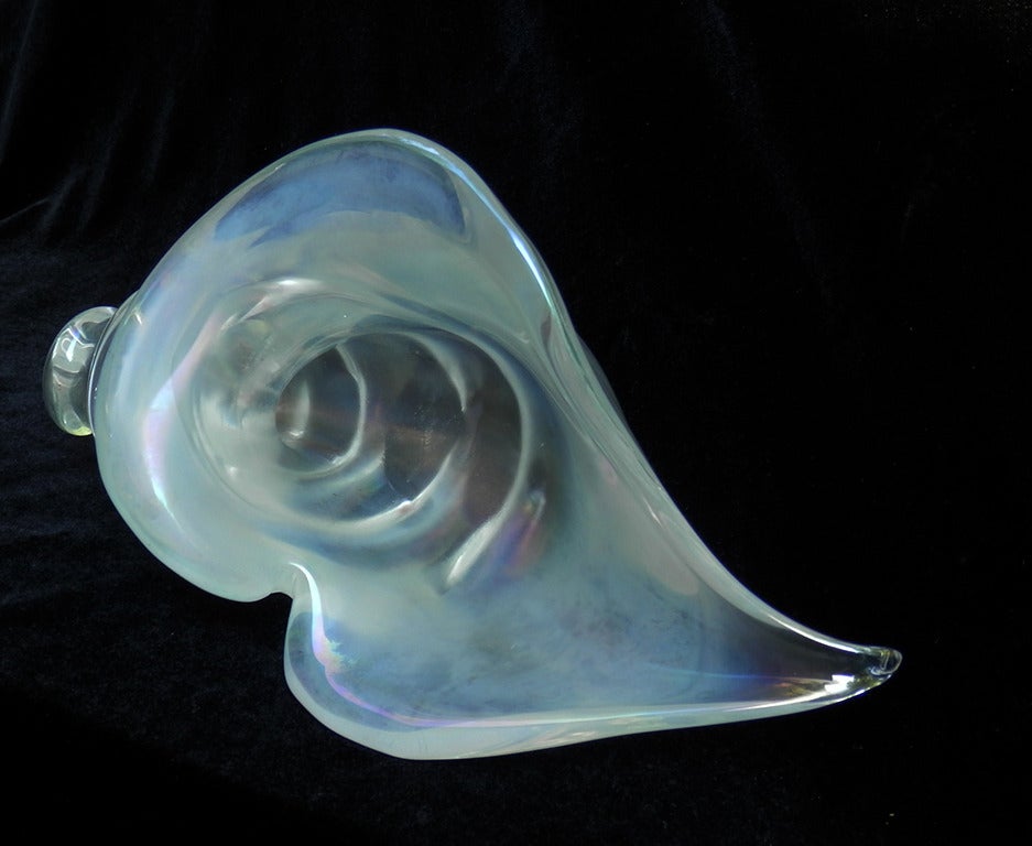 Conch Shell For Sale 1