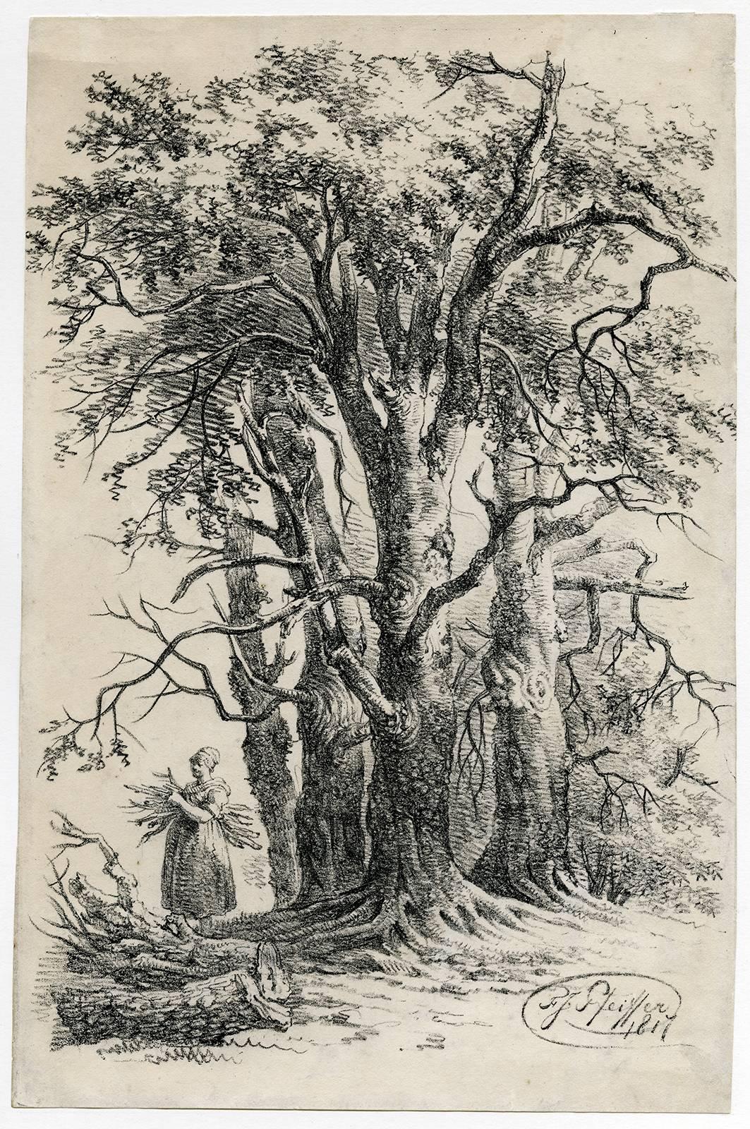 Francois Joseph Pfeiffer the Younger Landscape Print - Untitled - Group of trees with a woman gathering firewood.
