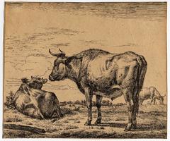  Untitled - A standing bull and two cows.
