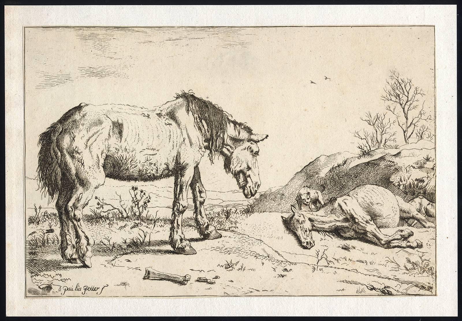 Paulus Potter Animal Print - Set of 5 horses in landscape