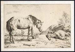 Set of 5 horses in landscape