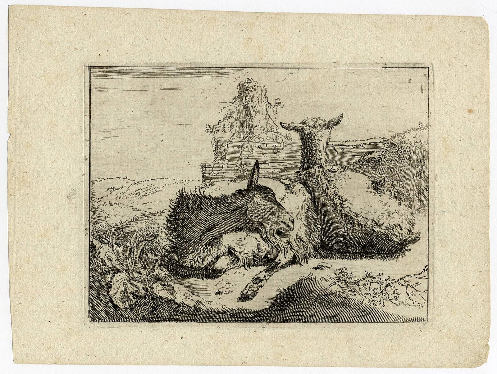 Johann Heinrich Roos Animal Print - Tierbuchlein (complete set of 6)