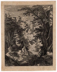 Untitled - View of a large forest.