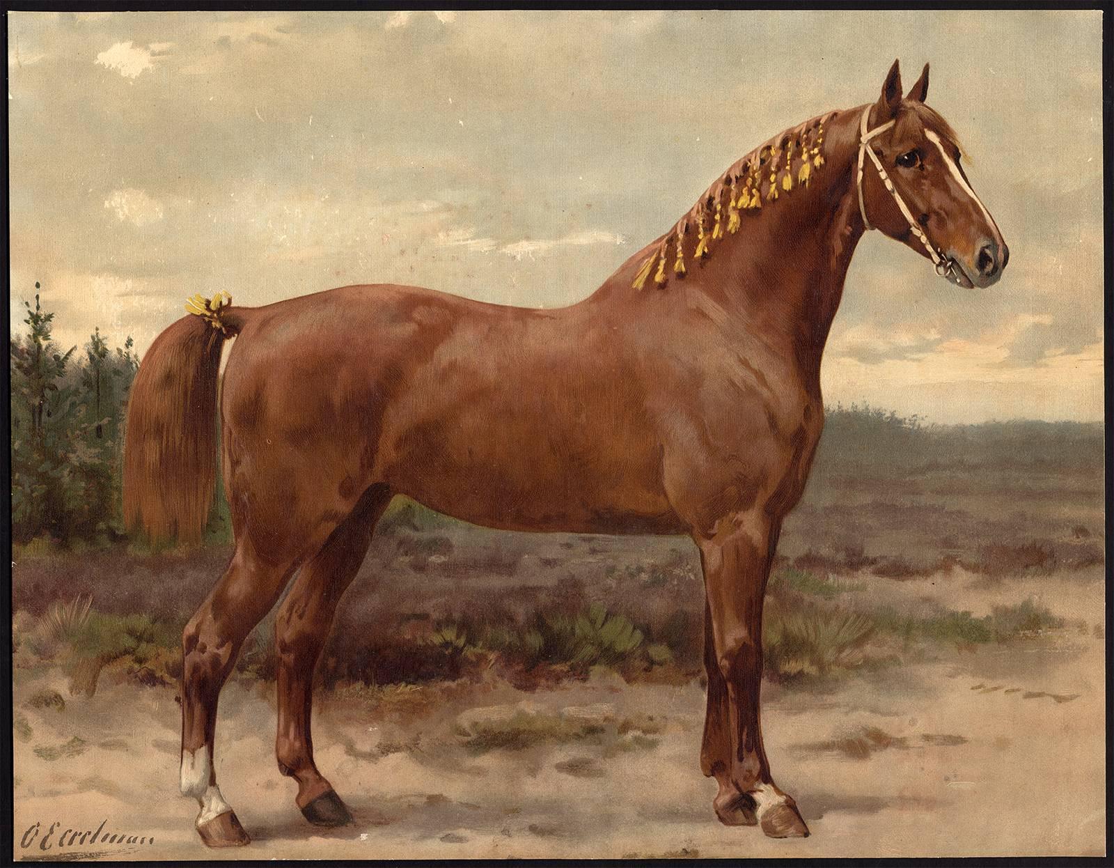 Otto Eerelman Animal Print - Gelders Paard.