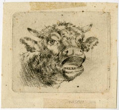 Untitled - Head of a mooing cow.